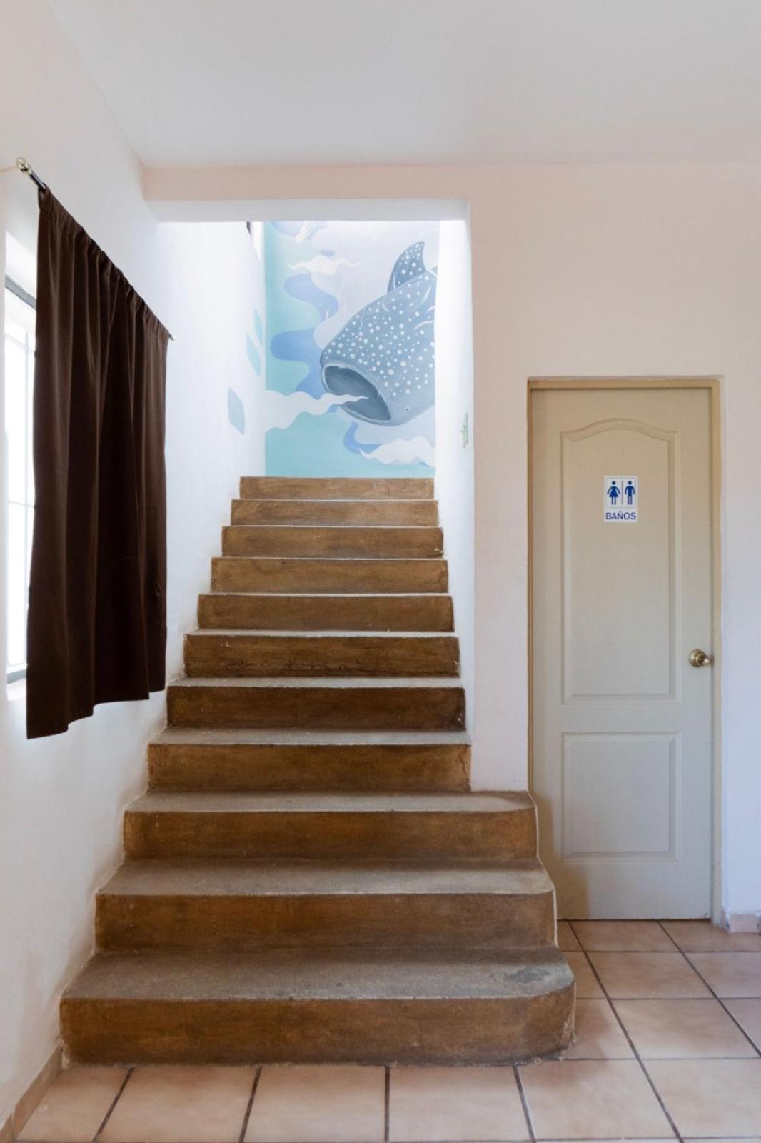 라파스 Casa Jardines 아파트 외부 사진